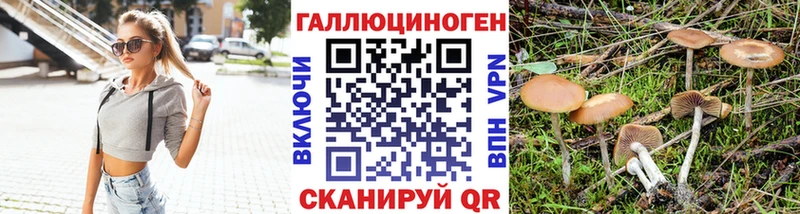 магазин продажи Нижневартовск Галлюциногенные грибы GOLDEN TEACHER